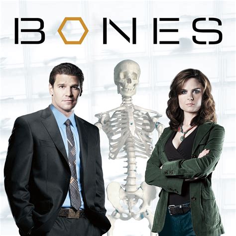 Bones Season 10 On Itunes