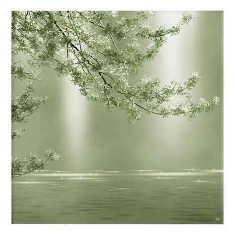 Looking for a good deal on aesthetic green? Summer lake tree branch above water soft green lig acrylic print | Zazzle.com | Green aesthetic ...