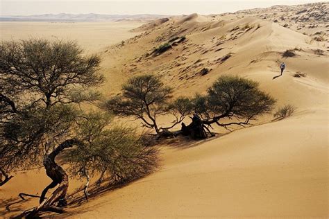 Kalahari Desert Kalahari Desert Facts And Map Visit Kalahari Desert