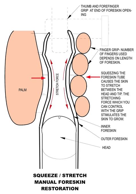 [b ] Foreskin Restoration Manual Tugging Squeeze Stretch Technique Restoring