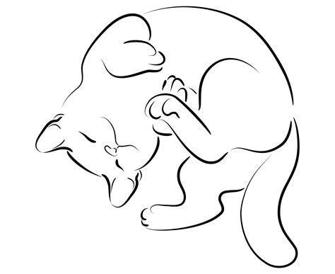 Cute Cat Outline Images Cats Blog