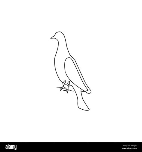 Linie Zeichnung Taube Tattoopigeon Bird Eine Linie Hand Zeichnung