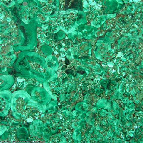 Marble Green Stunning Green Marble With Abstract Circles That Looks