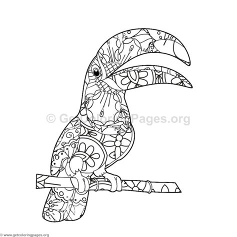 These free, printable summer coloring pages are a great activity the kids can do this summer when it. Toucan Bird Coloring Pages - GetColoringPages.org