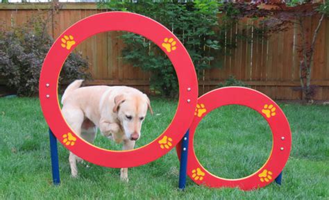 Dog On It Parks Double Hoop Jump Is Suitable For Any Size Dog Dog