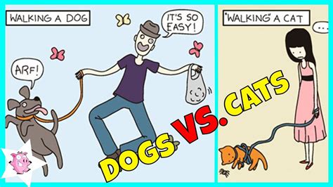Cats Vs Dogs Hilarious Comics That Perfectly Capture Their Differences
