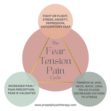 Fear Tension Pain Cycle Dyspareunia Treatment Propel Physiotherapy