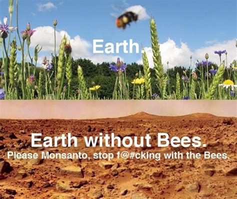 Earth Earth Without Bees Amazing Gardens The Great Outdoors Earth