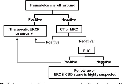 Figure 1 From The Efficacy Of Endoscopic Ultrasound For The Diagnosis