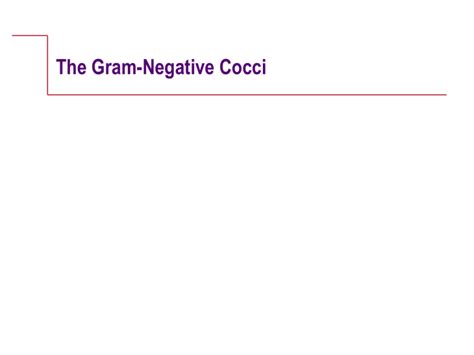 The Gram Negative Cocci