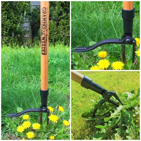 Buy Grampas Weeder The Original Stand Up Weed Puller Tool With Long