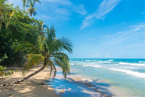 Best Beaches In Costa Rica Getaway Tropical Beach Vacation