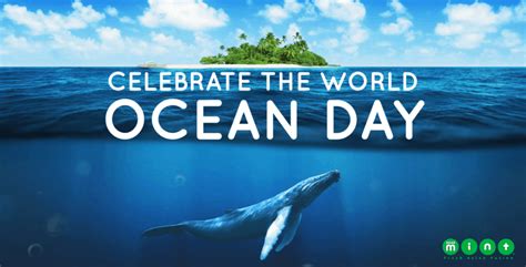 Celebrate World Oceans Day Every Day Reefci