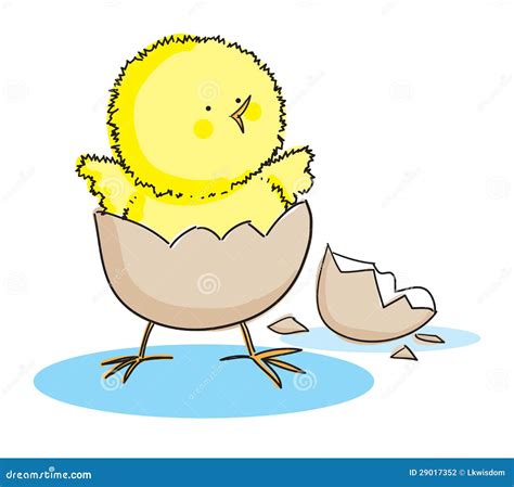 Hatching Easter Chick Stock Photography Image 29017352