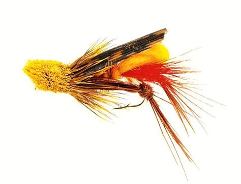 Grasshopper gifts aims to be just that little bit different, especially for dog and cat lovers. Grasshopper | CzechNymph.com