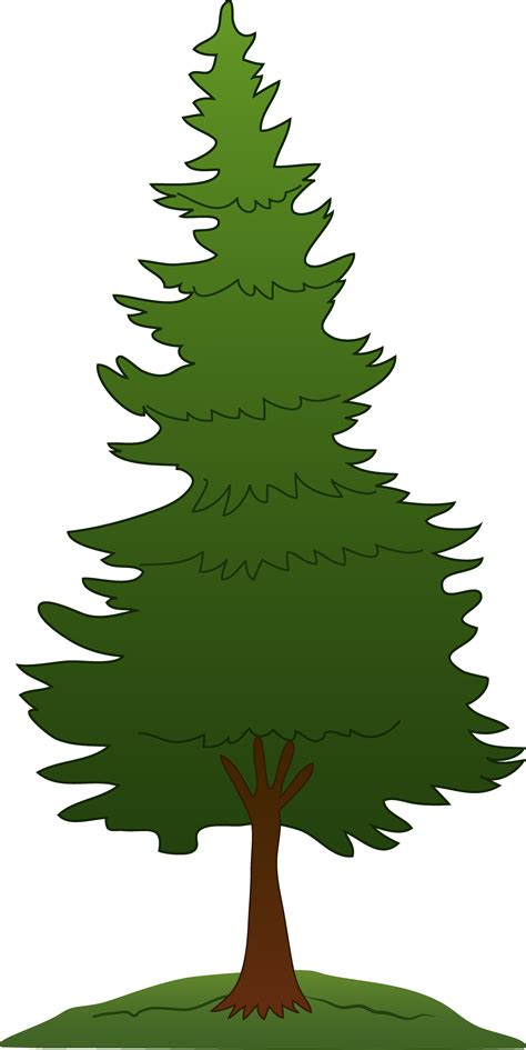 Pine Tree Logo Clipart Best