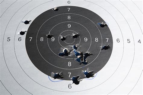 Top 5 Shooting Range Targets The Range 702