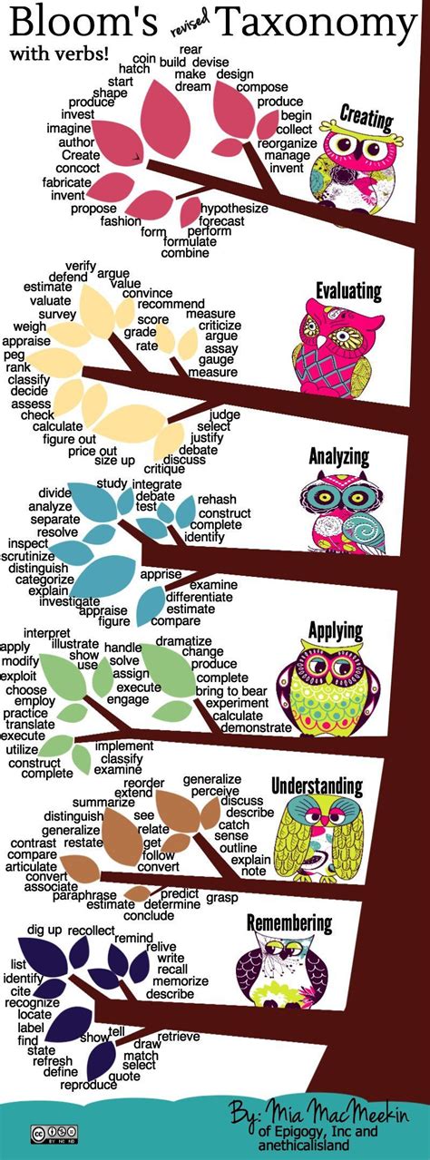 A Taxonomy Tree A Blooms Revised Taxonomy Graphic Teacher Hacks