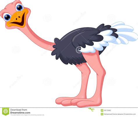 Funny Ostrich Cartoon Illustration 39175092 — Arena