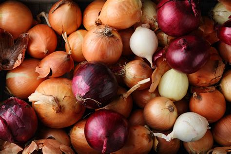 $5.6 million for specialty crop research protecting grapes, onions from ...