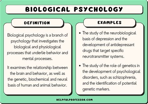10 Biological Psychology Examples 2024