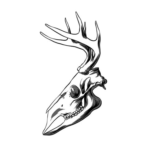 Skull Deer Head Vector Illustration 14742644 Vector Art At Vecteezy