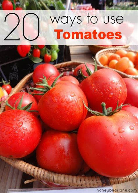 20 Ways To Use Tomatoes Honeybear Lane