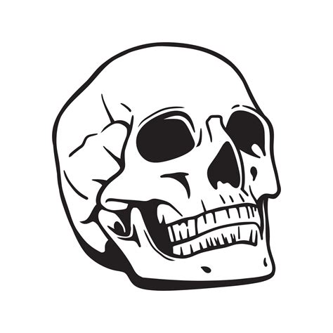 Hand Drawn Skull Black And White Vector Illustration 7730950 Vector Art