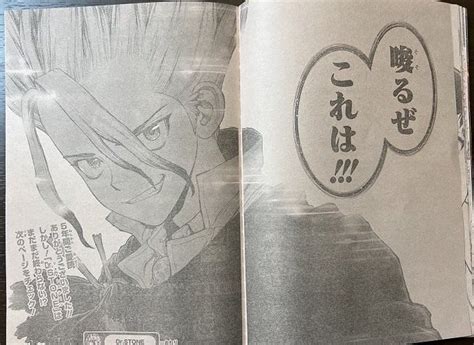 Dr Stone Chapter 232 Raw Scans Safely Back To Earth Senku S Final