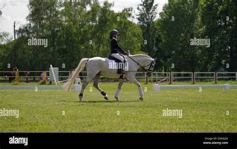Girl Rider White Horse In Equestrian Sport Competition Horse Riding On