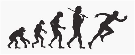 Human Evolution Vector Free Transparent Clipart Clipartkey