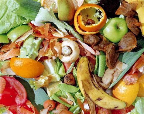 food-waste-food-recycling-services-bywaters