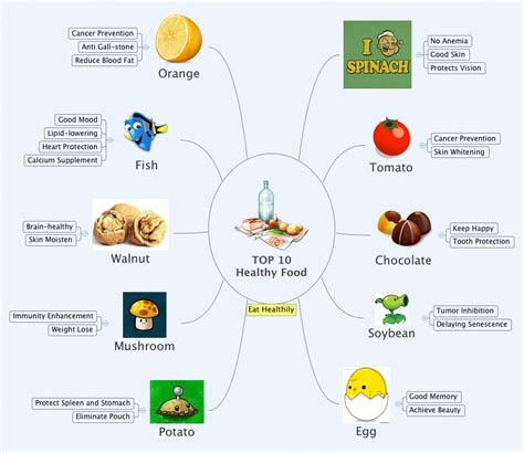 Top 10 Healthy Food Xmind Mind Mapping Software