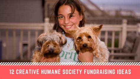 Top 108 Fundraising Ideas For Animal Shelters