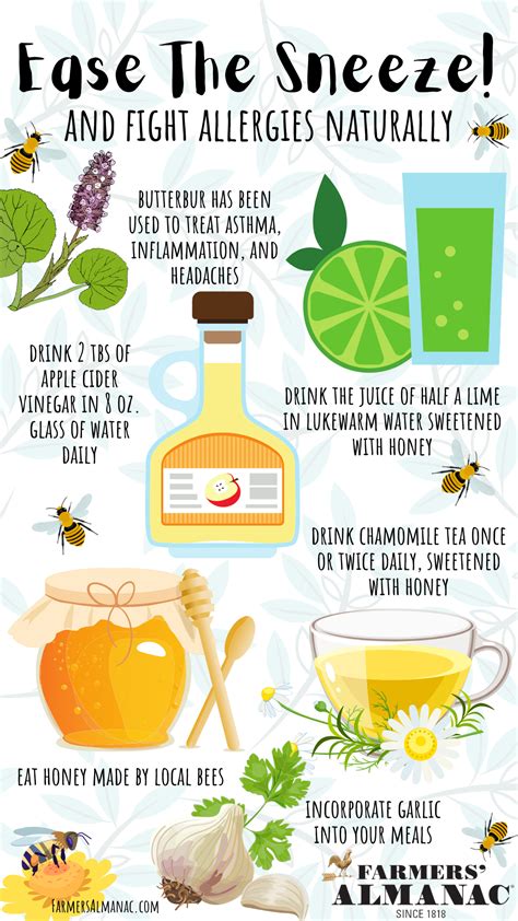 6 Spring Allergy Home Remedies You Probably Didnt Know About In 2021