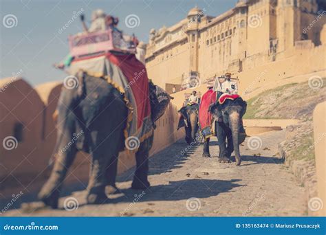 Elefantes Adornados En Jaleb Chowk En Amber Fort En Jaipur La India