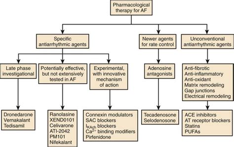 Clinical Application Of New Antiarrhythmic Drugs For Atrial