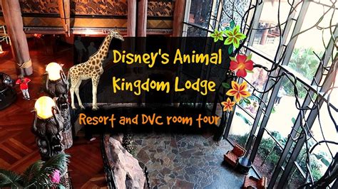 Disneys Animal Kingdom Lodge Tour Dvc Studio With Savanna View Youtube