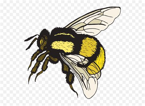 Cute Bumble Bees Clipart Bumble Bee Cute Bee Clip Art Love Bees