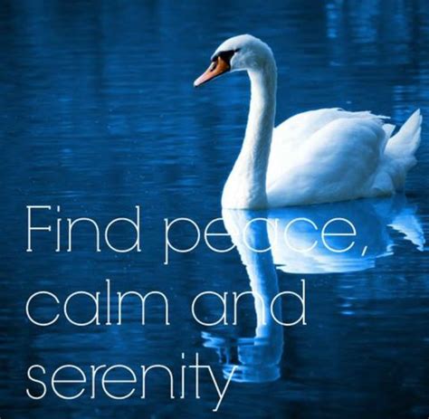 Pin By Tj On Serenitynature ☀️ Calm Serenity Finding Peace