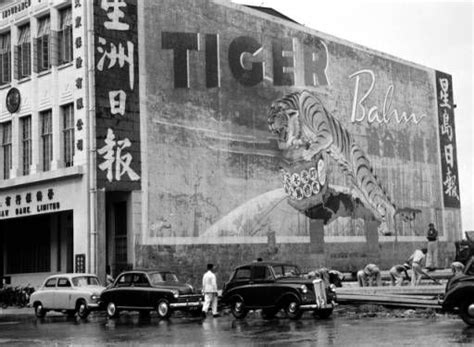 Teh eng aun & co.'s history dates back to 1981 with clients in small and medium businesses. Tiger Balm, Eng Aun Tong, 虎标永安堂，万金油，虎油，八卦丹，清快水 | Tiger ...