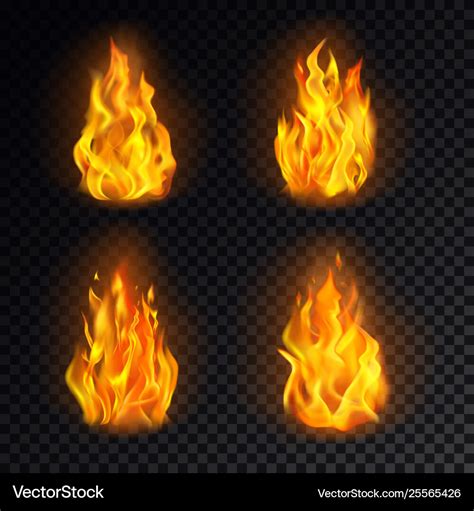 Set Isolated 3d Fire Or Realistic Burn Flame Vector Image