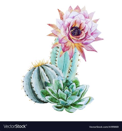 Watercolor Painting Cactus Tap To See More Beautiful Illustration My