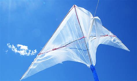 Make A Kite With Physics Science Friday