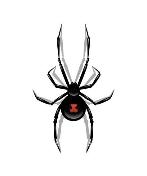 Royalty Free Black Widow Spider Clip Art Vector Images And Illustrations