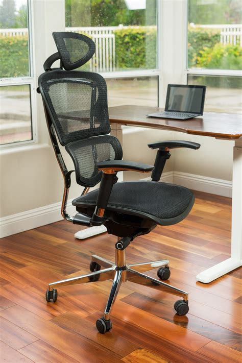 Ultimate Lumbar Support Mesh Chair - ErgoMax Office-
