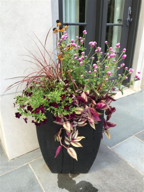 Deep Shade Container Using Tropical Plants For A Dramatic