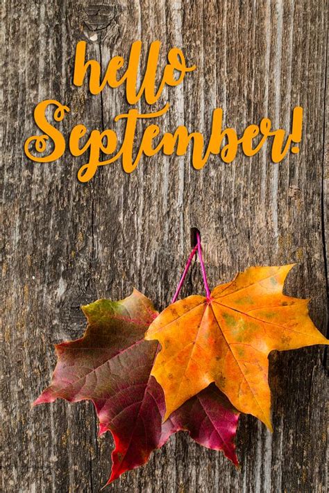 Autumn Background With Hello September Letters And Autumn Leaves Stock