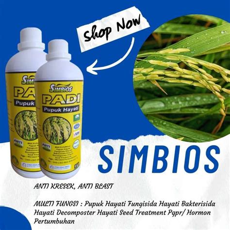 Jual PUPUK Cair Untuk Padi Nutrisi Tanaman Padi Umur 45 Hari Di Seller