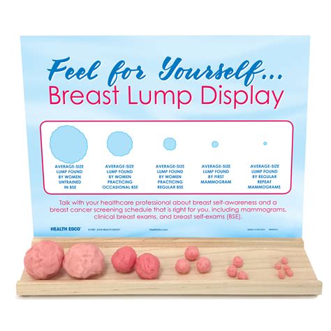 Feel For Yourself Breast Lump Display Health Edco